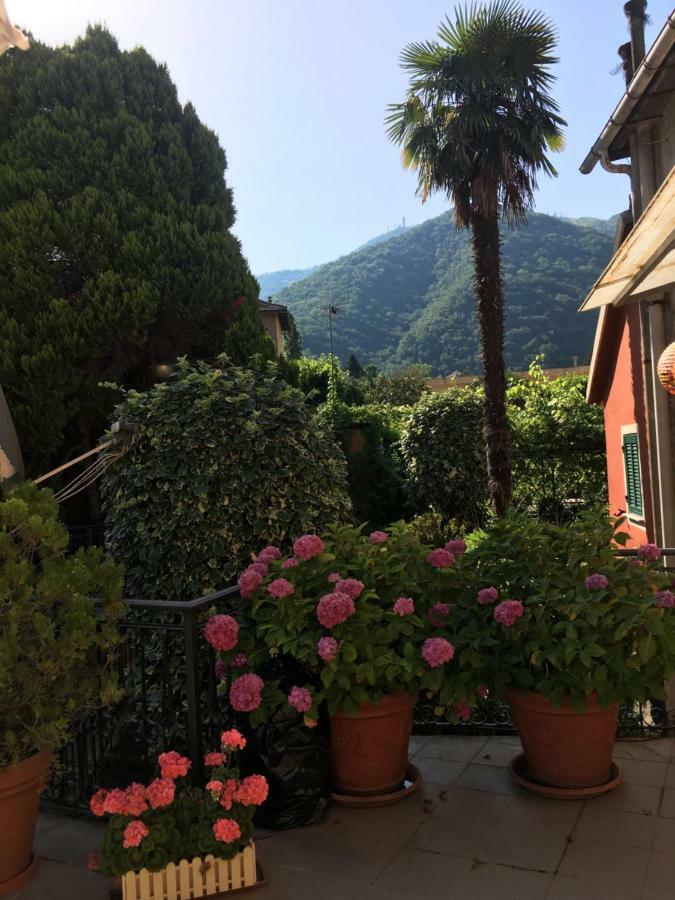 Casa Delle Ortensie Janov Exteriér fotografie